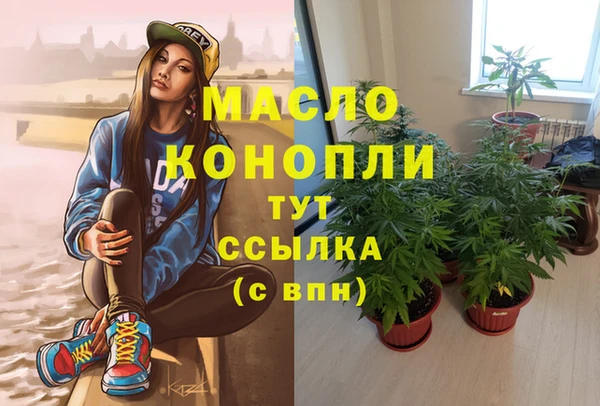 гидра Алексин