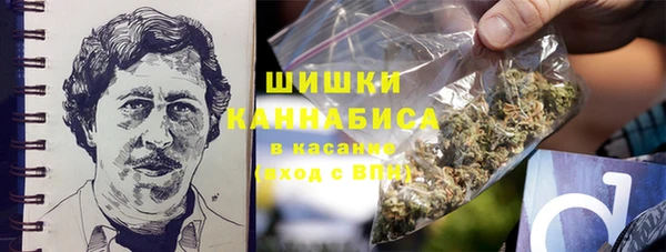 гидра Алексин