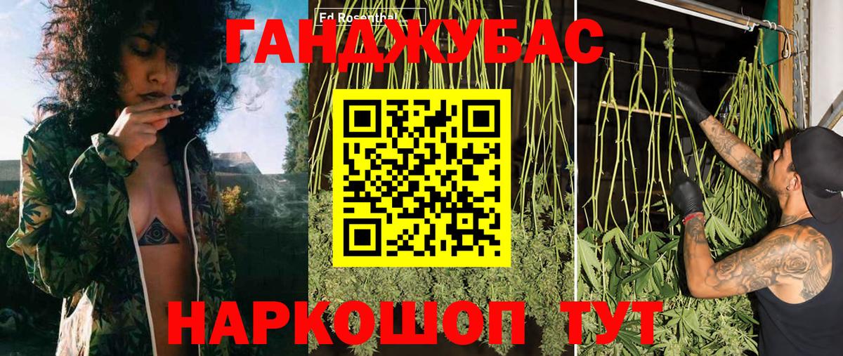 Бошки марихуана ГИДРОПОН  Вход с VPN  МАРИХУАНА Amnesia  Марихуана планчик  Учалы 